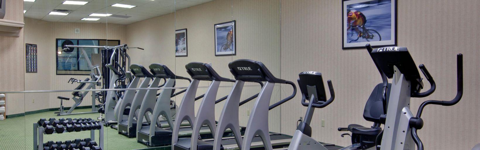 Holiday Inn Windsor - Ambassador Bridge By Ihg Luaran gambar